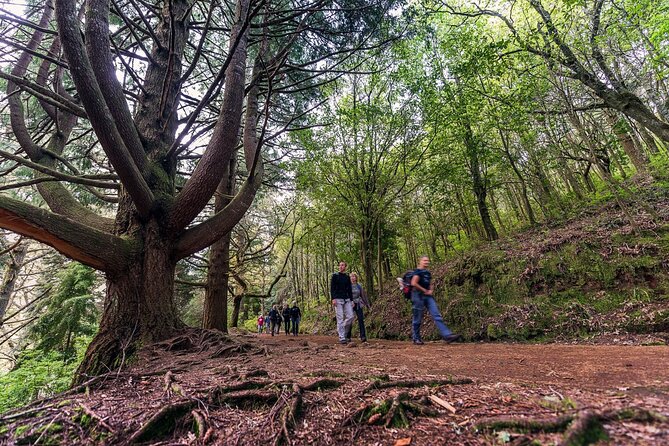 Caldeirão Verde Levadas Walk in Madeira - Price and value: is about $53 actually fair?