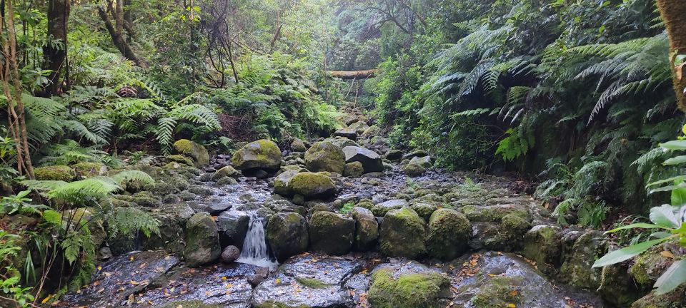 Caldeirão Verde: Queimadas PR9 Transfer and Self-Guided Hike - Price and value: what $38 buys (and what doesn’t)