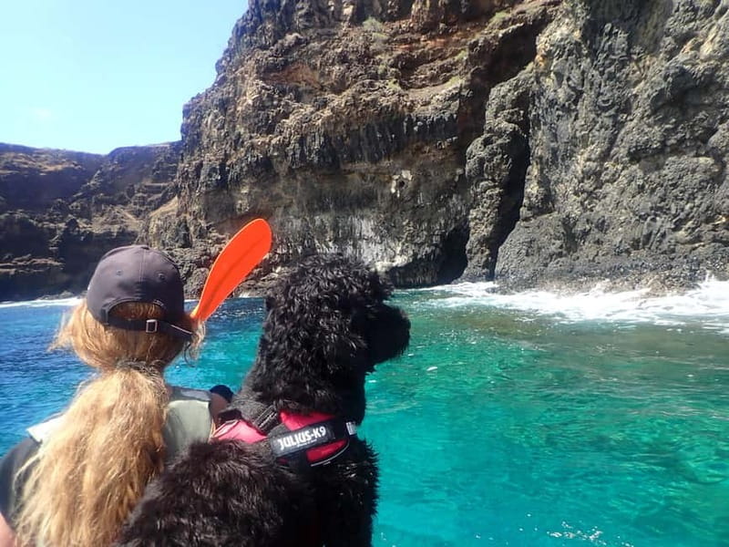 Calheta Kayak Adventure - Languages and guides: you’ll get real help on the water
