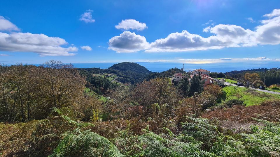 Camacha: Levada Trail e-Bike Guided Tour - Key Things You’ll Notice on This Camacha Levada E-Bike Tour