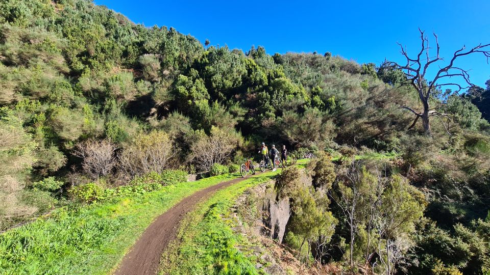 Camacha: Levada Trail e-Bike Guided Tour - Water Mill and the Funny-Shaped Tree Stop: Where the Ride Breathes