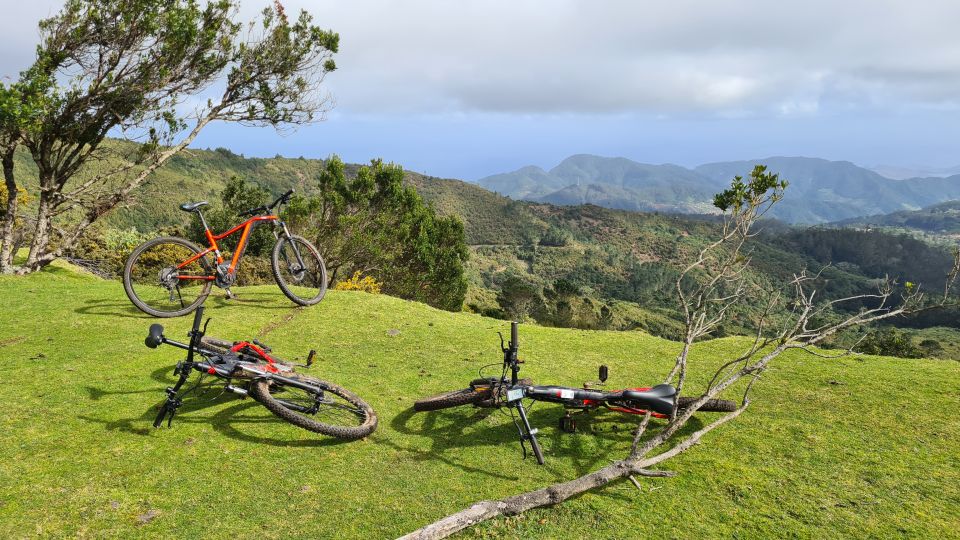 Camacha: Levada Trail e-Bike Guided Tour - Climbing Toward Santo da Serra: Dirt Road Power and Sheep Views