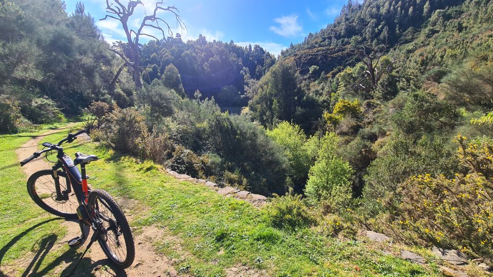 Camacha: Levada Trail e-Bike Guided Tour - The Oaks Descent and Back to the Levada: Finishing Strong