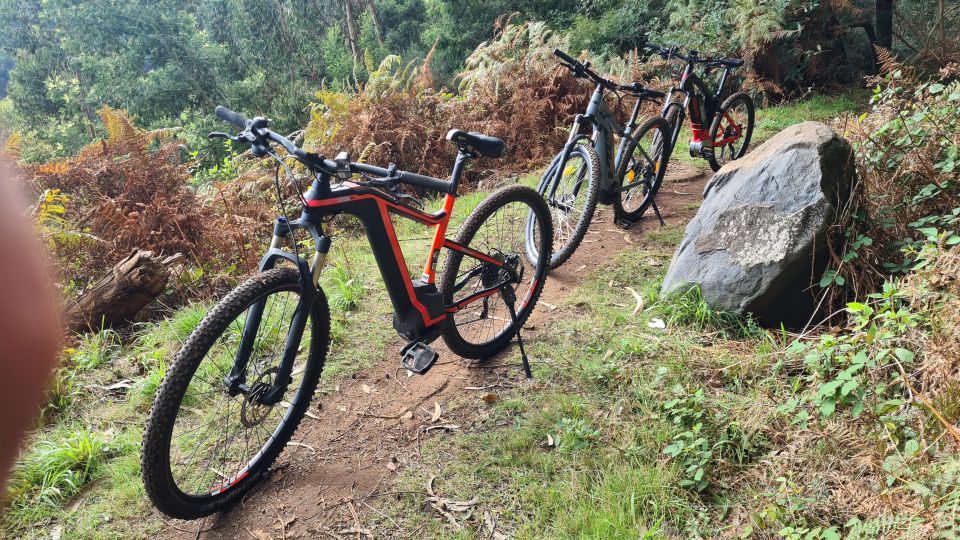 Camacha: Levada Trail e-Bike Guided Tour - Getting There and Timing: How the 3.5 Hours Actually Plays Out