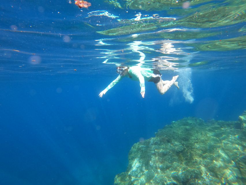 Câmara de Lobos: Private Guided Kayaking Tour in Madeira - Quick call: should you book this tour?
