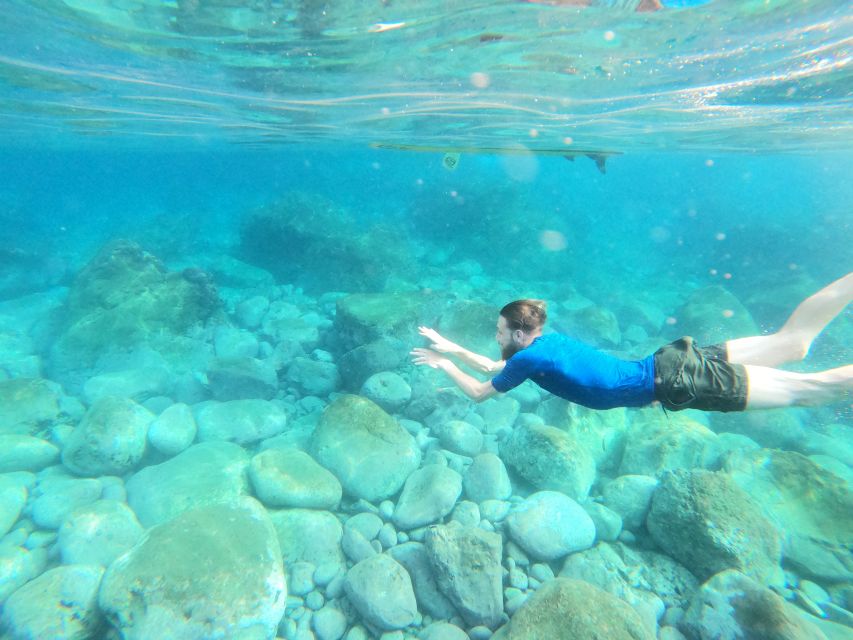 Câmara de Lobos: Private Guided Kayaking Tour in Madeira - Price and time: is $82 per group (up to 1) a fair deal?