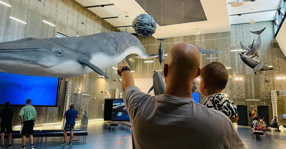 Caniçal : Madeira Whale Museum Entry ticket - Price and value: is $11 a fair deal?