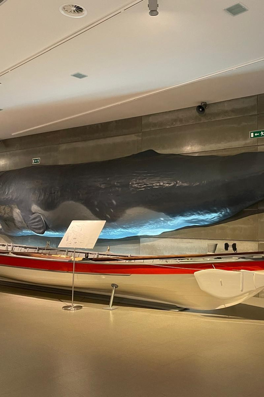 Caniçal : Madeira Whale Museum Entry ticket - Conservation and research: why the museum feels alive