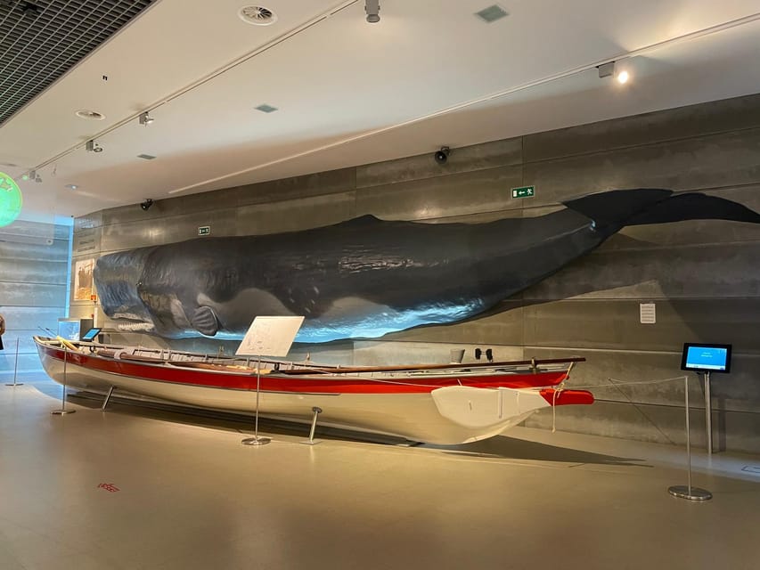 Caniçal : Madeira Whale Museum Entry ticket - Temporary exhibitions: a little extra variety