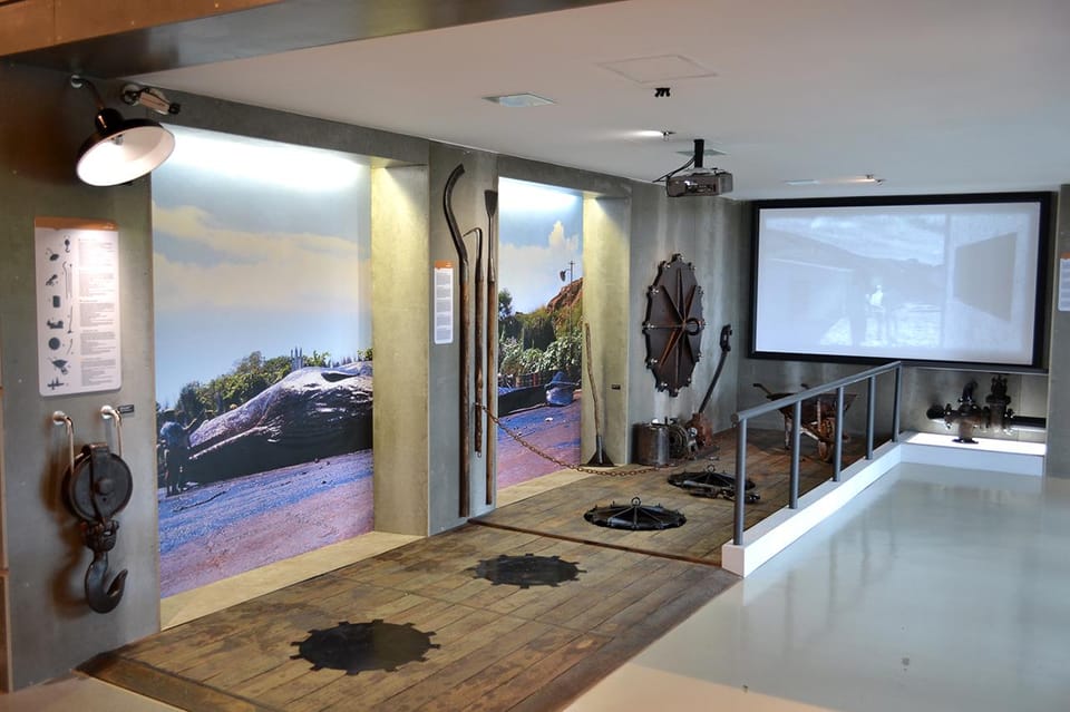 Caniçal : Madeira Whale Museum Entry ticket - Audio guide: five languages, one smooth route
