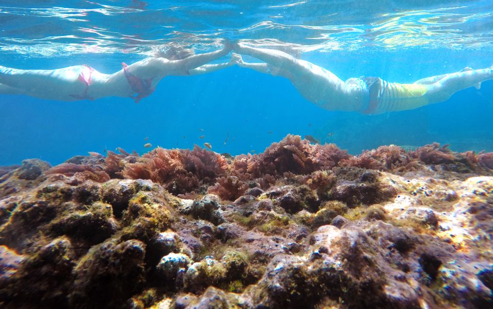 Caniço, Madeira: Marine Reserve Kayak & Snorkelling Tour - The 2-Hour Flow: Paddling First, Then Snorkeling Right Where You Start