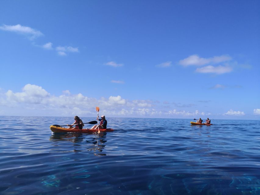 Caniço, Madeira: Marine Reserve Kayak & Snorkelling Tour - Guide Power: Small Group Energy and Photo-Friendly Moments