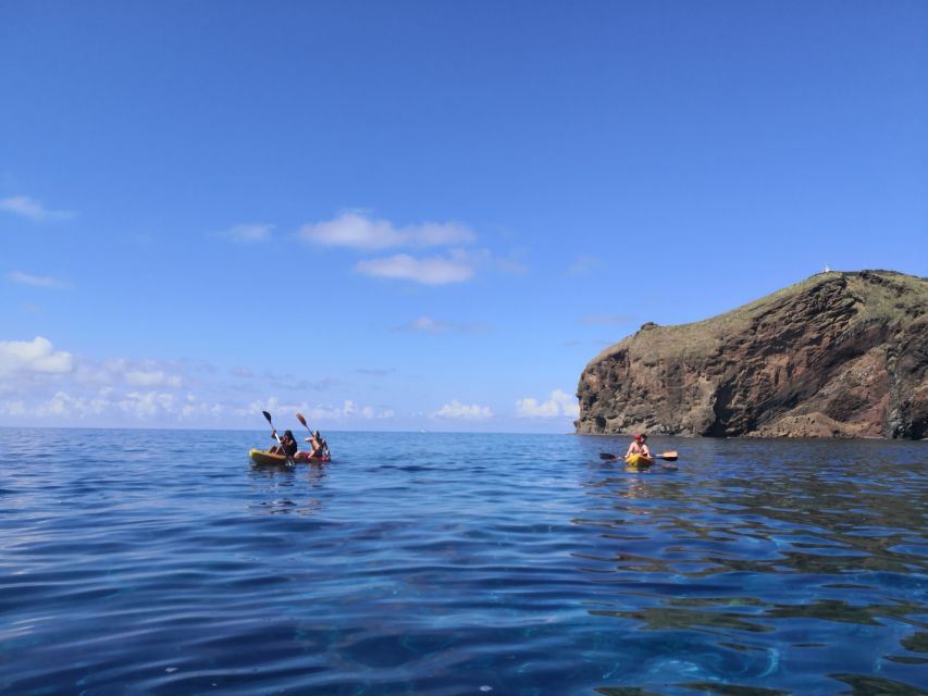 Caniço, Madeira: Marine Reserve Kayak & Snorkelling Tour - Snorkeling in Garajau: What You Can Actually Expect to See