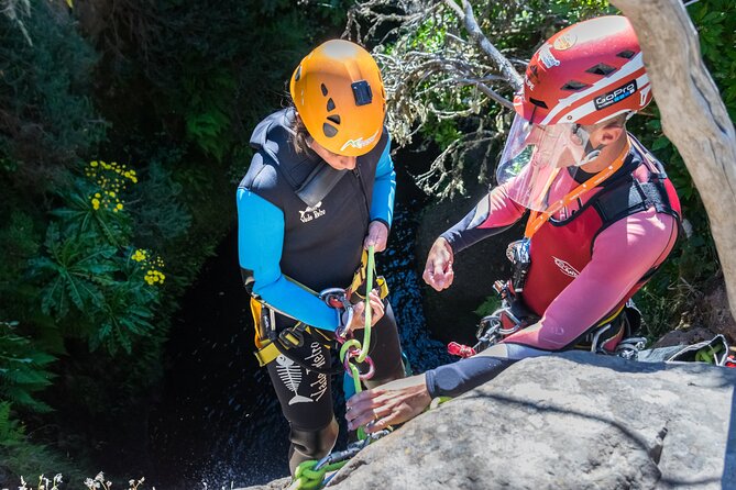 Canyoning in Madeira: Ideal for Beginners and Families - Price and Value for an Active, Guided Day ($80.45)