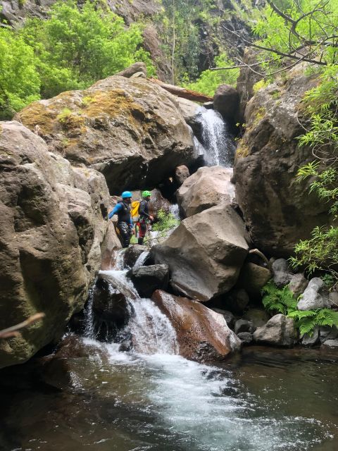 Canyoning Level 2 - Ribeira do Cidrão- Madeira Island - Key things to know before you go