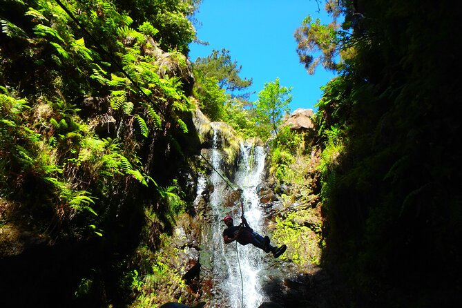 Canyoning Madeira Island - Level One - How the Guides Keep It Safe (and Still Fun): Alfredo, Lucas, Martha, Luigi, Ronaldo