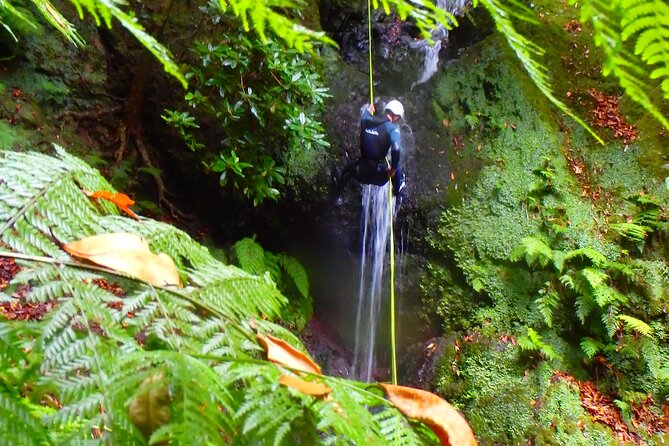 Canyoning Madeira Island - Level One - Fitness, Swimming, and Comfort Level: Who Level One Fits Best