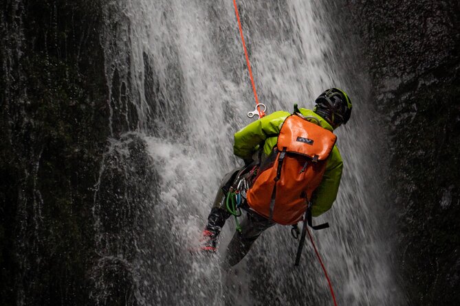 Canyoning Madeira Island - Level One - Price and Value: What $80.69 Includes (and Why It Adds Up)