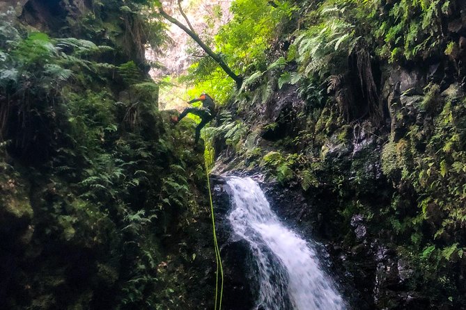 Canyoning Madeira Island - Level Two - Getting There From Funchal: Morning Pickup and a Fast Start
