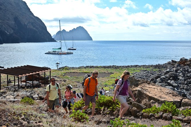 Catamaran Day Cruise to Desertas Islands from Funchal - Catamaran Day Cruise to Desertas Islands: what you’re really buying