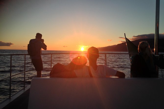 Catamaran Sunset Cruise from Funchal - Why a catamaran sunset cruise from Funchal works so well