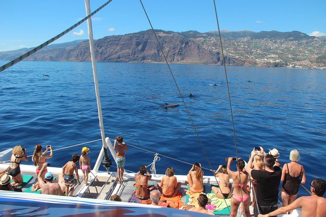 Catamaran Sunset Cruise from Funchal - Weather and sea conditions: the one variable you can’t control
