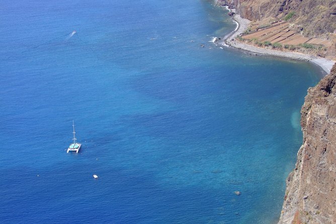 Catamaran Sunset Cruise from Funchal - Wildlife sightings: how to think about dolphins and whales