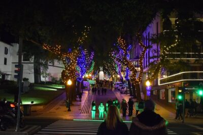 Christmas Lights Tukxi Tour (price per tukxi - up to 5 people) - Miradouro Vila Guida D: the viewpoint stop that turns lights into city views