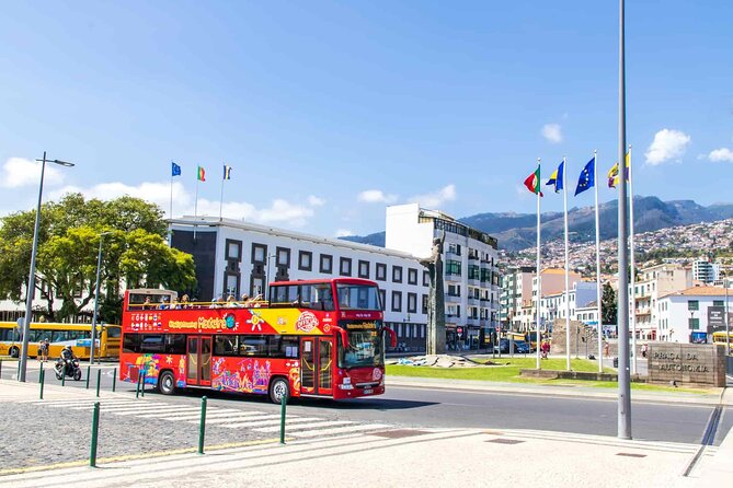 City Sightseeing Funchal Hop-On Hop-Off Bus Tour - Blue Route to Monte: Great Scenery, but the Bus Wait Can Be the Whole Trip