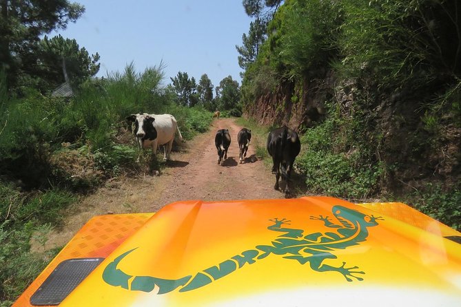 Craters of Fire - 4X4 Full-Day Tour - Entering the Southwest: why this route makes sense