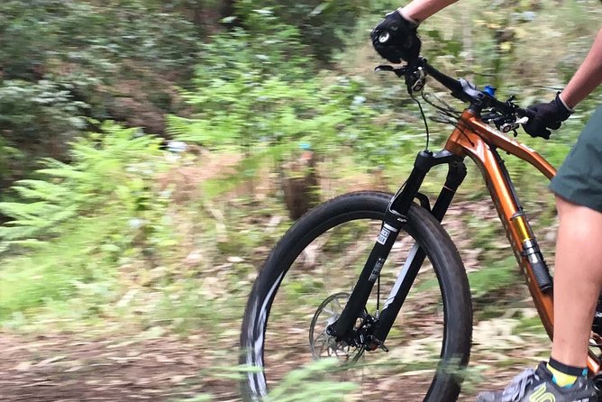 Cross Country - Moutain Bike Tour - Entering Madeira by Bike: What This Tour Really Feels Like