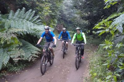 Cross Country - Moutain Bike Tour - Miradouro da Portela and the Natura 2000 Ride: Views With Purpose
