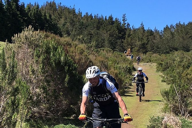 Cross Country - Moutain Bike Tour - Bikes, Helmets, Shuttle, Insurance, and Photos: The Value Angle