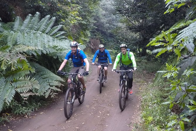 Cross Country - Moutain Bike Tour - Miradouro da Portela and the Natura 2000 Ride: Views With Purpose