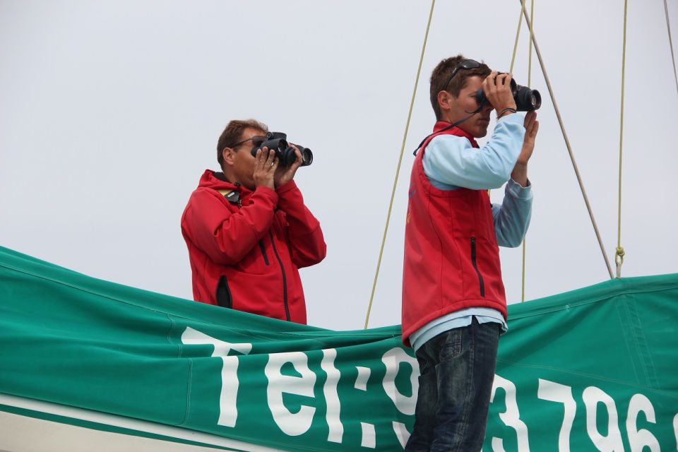 Desertas Islands Full-Day Catamaran Trip from Funchal - Sailing the South Coast: Sea Views and Wildlife Chances
