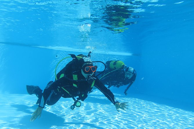 Discover Scuba Diving or Try dive - The theory session: the basics you should pay attention to