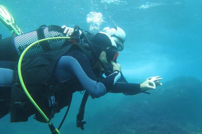Discover Scuba Diving or Try dive - PADI certification pathway: what you should confirm before you book