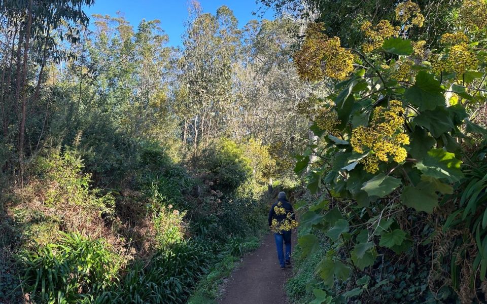 Discover the Paradise Valley - a quick escape for Everyone - Key takeaways before you go