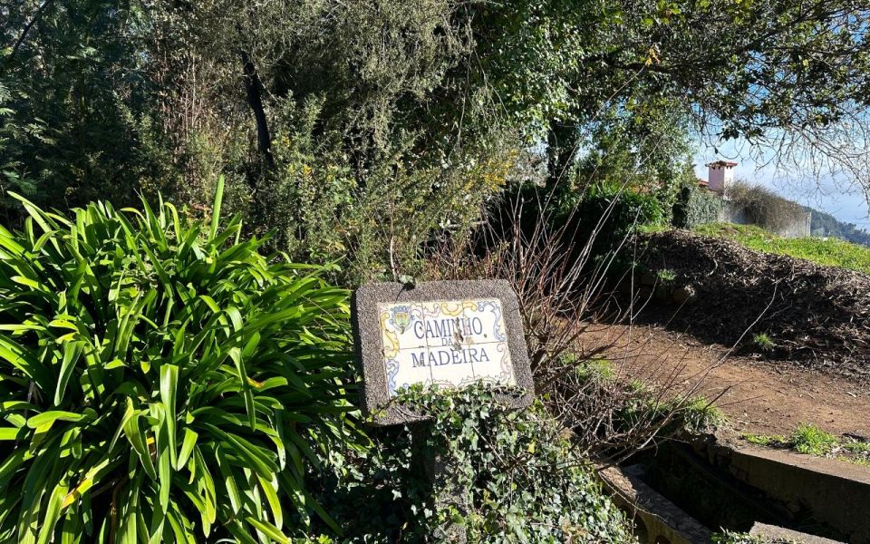 Discover the Paradise Valley - a quick escape for Everyone - From Funchal To Camacha: the short transfer that sets the tone