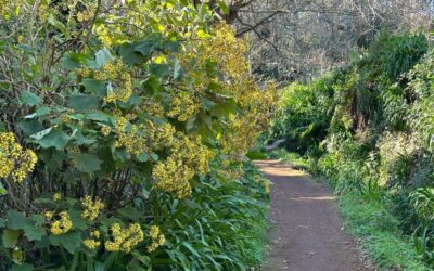 Discover the Paradise Valley - a quick escape for Everyone - The easy 5.5 km route: what “accessible” really means