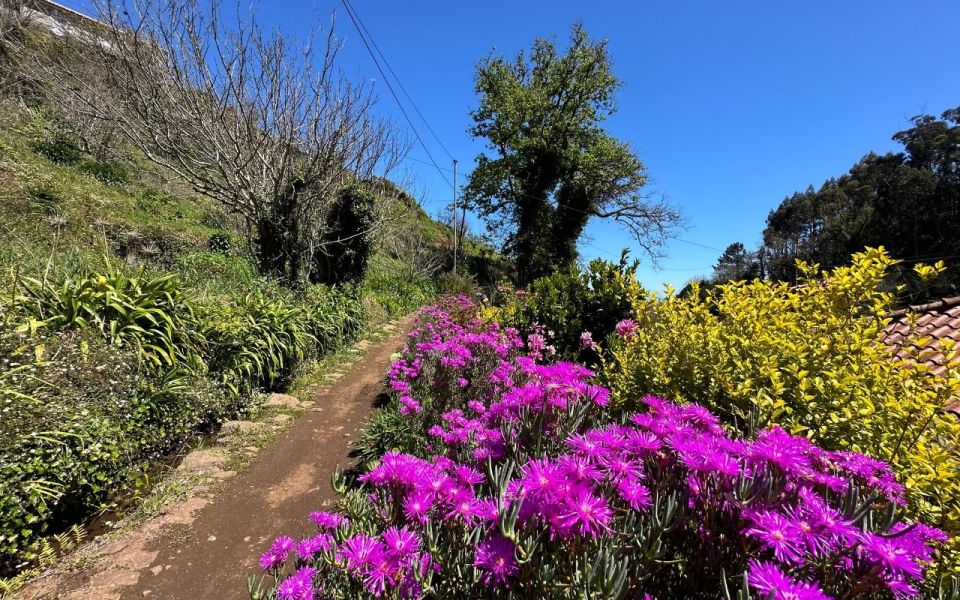 Discover the Paradise Valley - a quick escape for Everyone - Camacha views: quick payoffs without a big hike