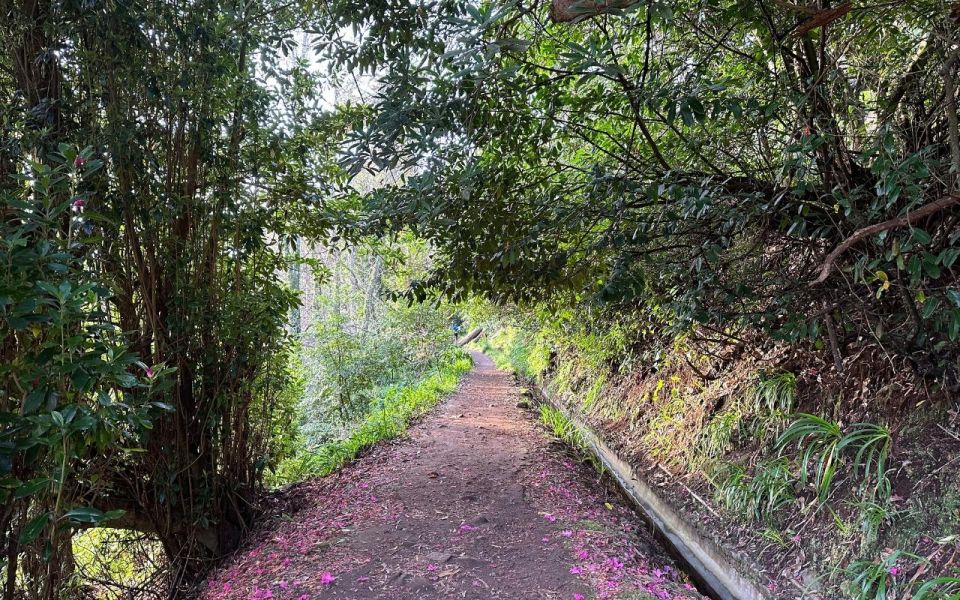 Discover the Paradise Valley - a quick escape for Everyone - Fauna and flora spotting with a live guide