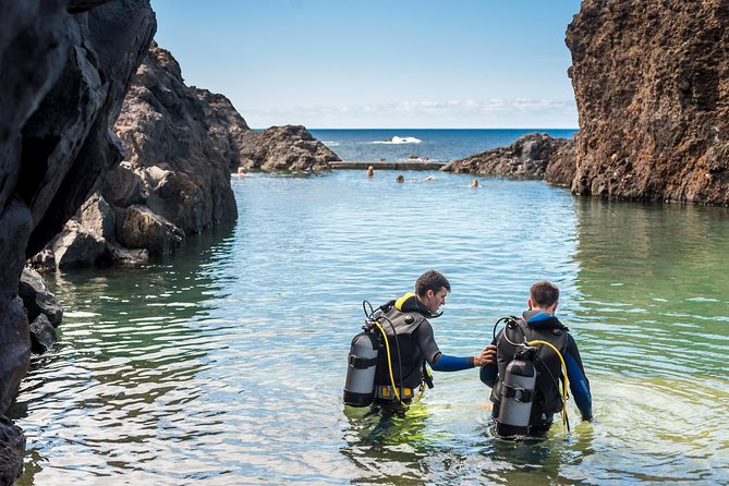 Diving in the Madeira Aquarium - Aquário da Madeira: your first undersea skills start in Porto Moniz