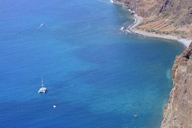 Dolphin and Whale Watching Catamaran Cruise from Funchal - Onboard Comfort: Bar, Toilets, and the Crowding Question