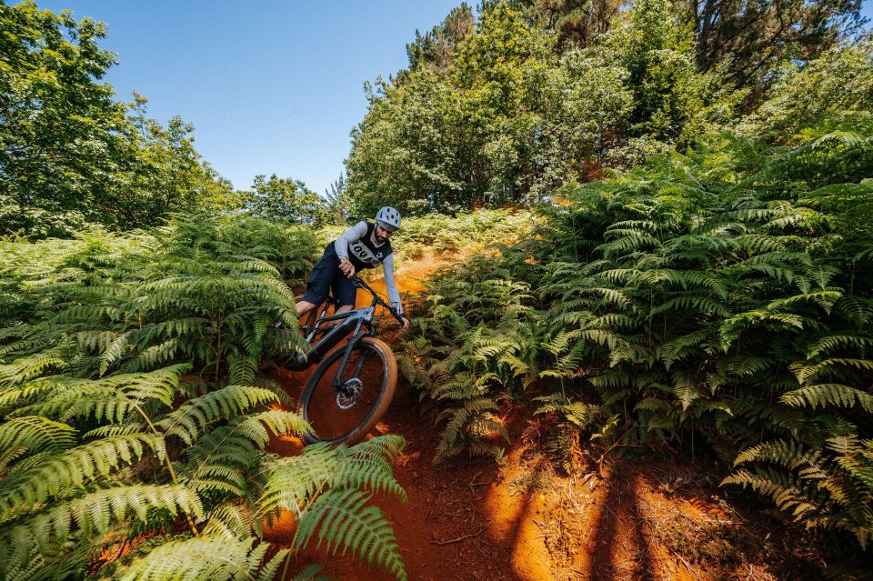 E-Bike Guided Tour - Belle Vue Mountain Biking - Portela to Fajã dos Rolos: Dirt Roads, Machico Valley, and Old-Road Energy