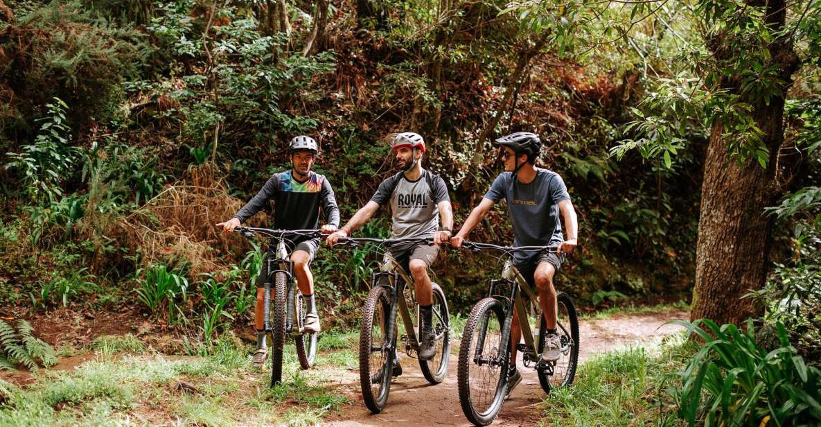 E-Bike Guided Tour - Mountain biking experience - The KTM Macina Ride 291 with Bosch: power you feel, control you keep
