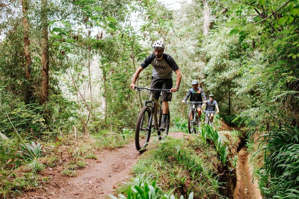 E-Bike Guided Tour - Mountain biking experience - Riding the levadas on Madeira’s south side: what the “60/40” really means