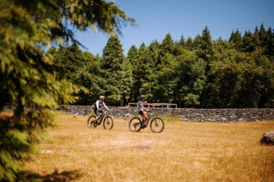 E-Bike Guided Tour - West Side Mountain Biking - Getting to the top: meeting in Funchal and the van ride to altitude