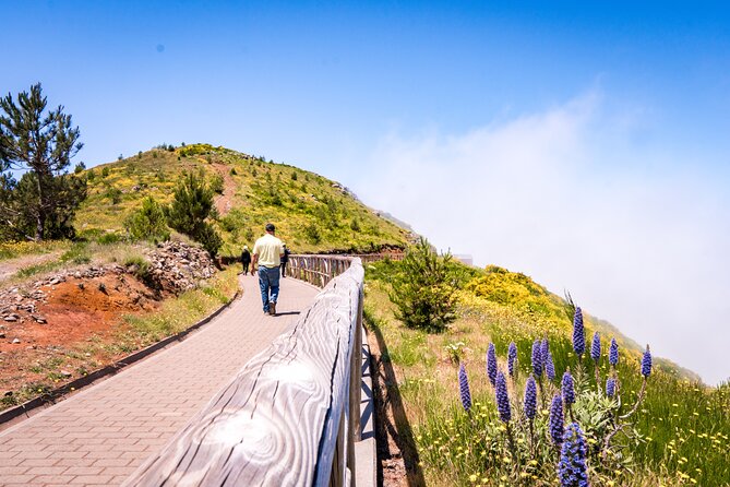 East of Madeira | Full Day 4x4 Tour - Food, poncha, and tastings: what’s covered and what costs extra