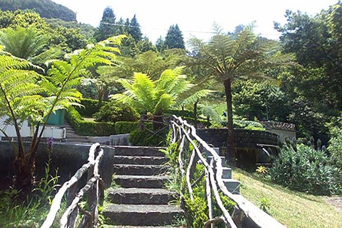 EAST: Pico do Arieiro & Laurissilva Forest - Full Day tour - Stop 4: Ribeiro Frio, Laurissilva Forest, and the Balcoes levada walk